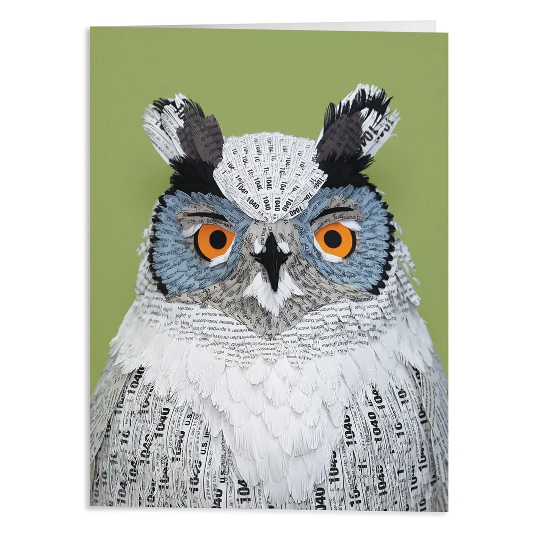 Galison Birds of the World Greeting Assortment Notecard Set