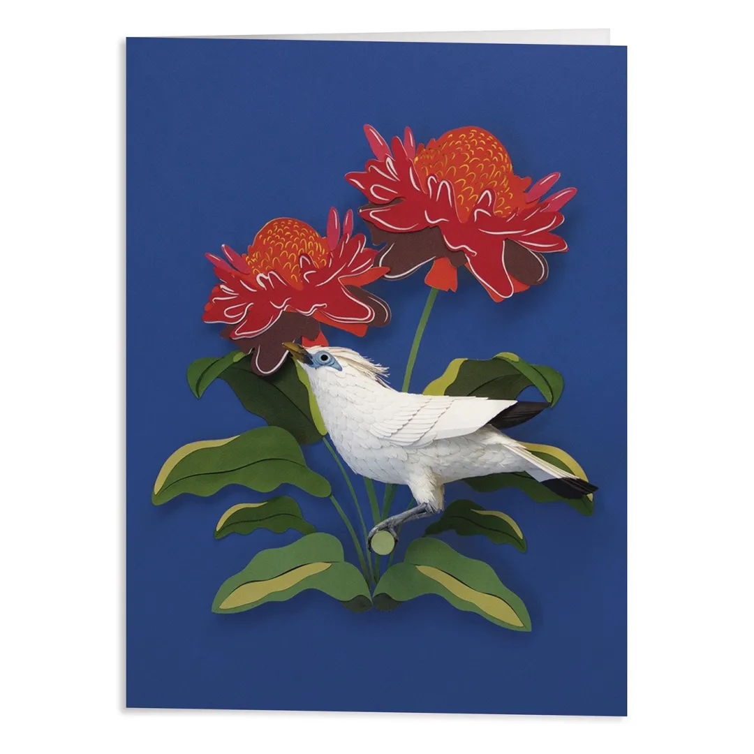 Galison Birds of the World Greeting Assortment Notecard Set
