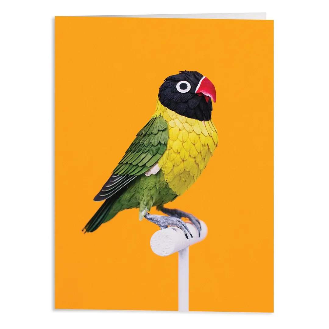 Galison Birds of the World Greeting Assortment Notecard Set