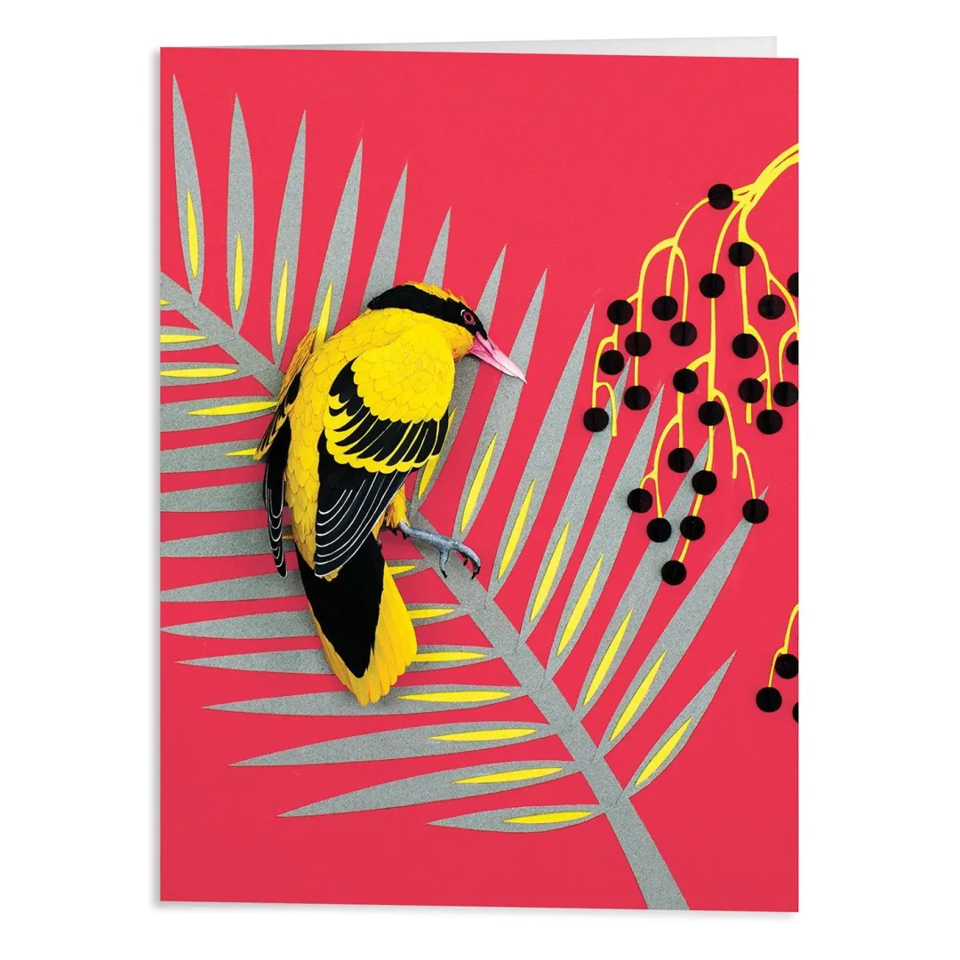 Galison Birds of the World Greeting Assortment Notecard Set