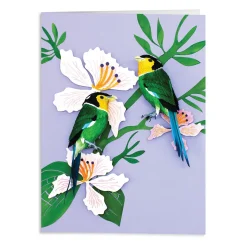Galison Birds of the World Greeting Assortment Notecard Set