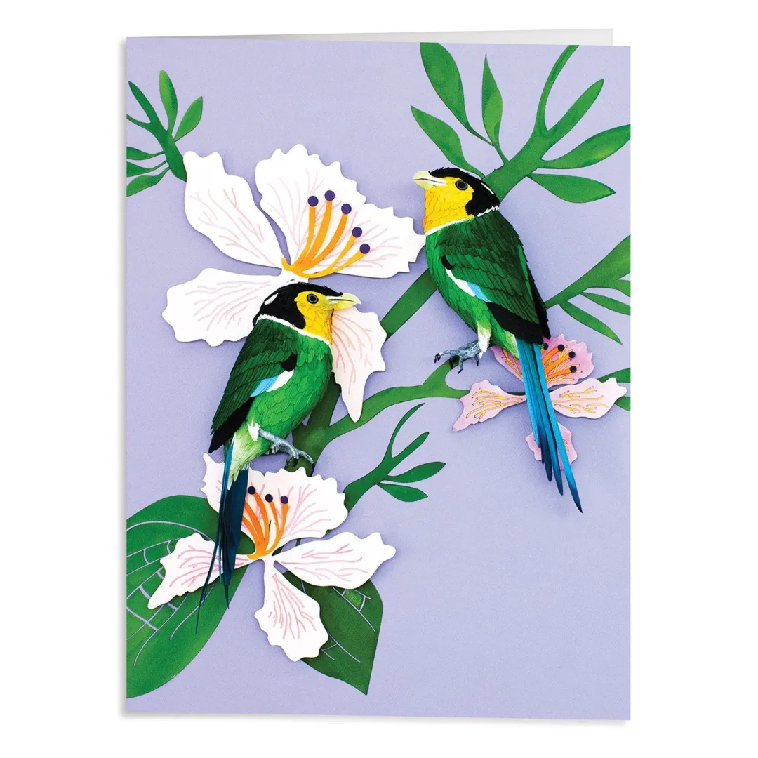 Galison Birds of the World Greeting Assortment Notecard Set