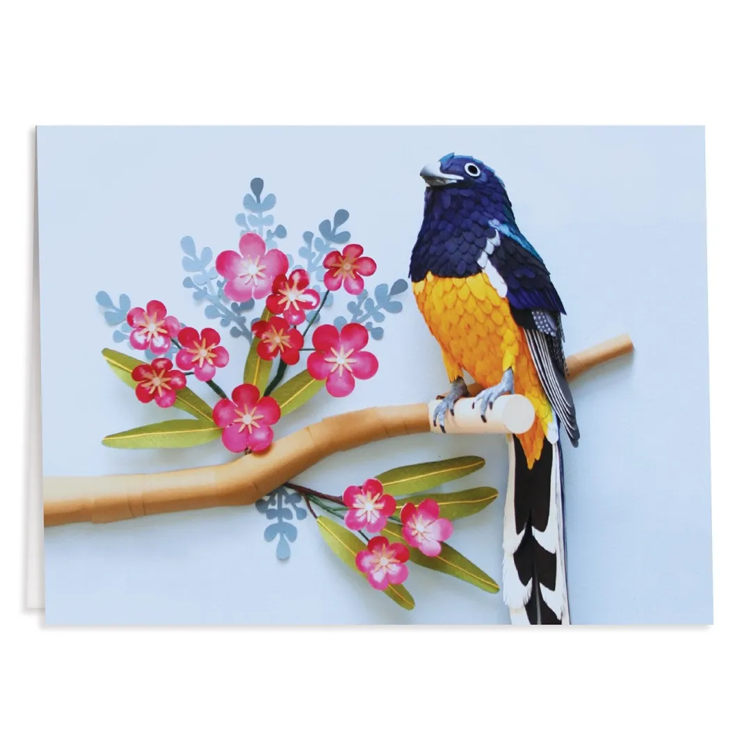 Galison Birds of the World Greeting Assortment Notecard Set