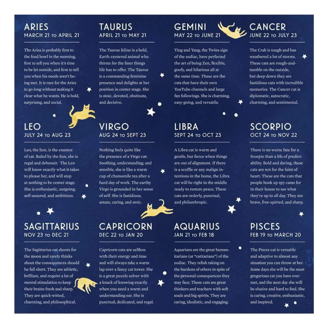 Galison Cat Zodiac 500 Piece Jigsaw Puzzle
