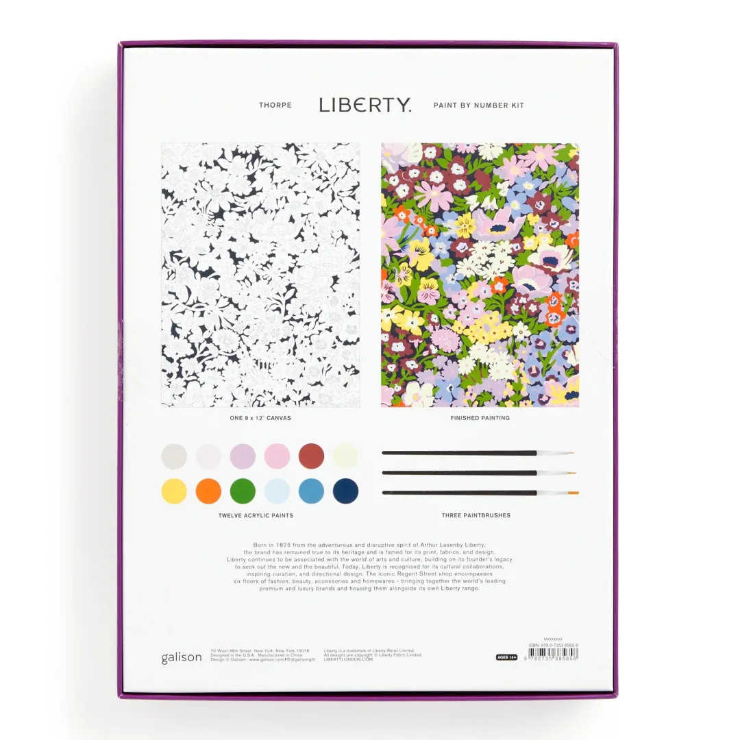 Galison Liberty 9 x 12 Paint by Number Kit Thorpe