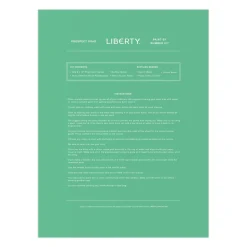 Galison Liberty Prospect Road 9 x 12 Paint by Number Kit