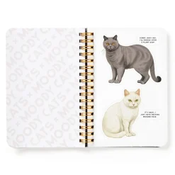 Galison Moody Cats Sticker Book