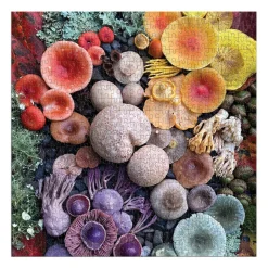 Galison Shrooms in Bloom 500 Piece Puzzle