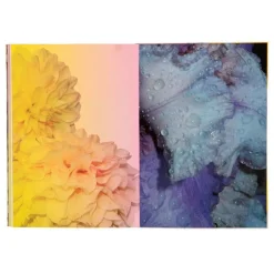 Galison The Art Series - Catherine Larre A5 Notebook