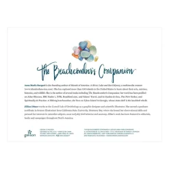Galison The Beachcomber's Companion 1000 Piece Jigsaw Puzzle With Shaped Pieces
