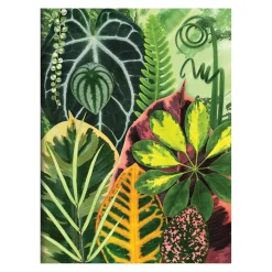 Galison Troy Litten Houseplant Jungle Greeting Assortment Notecards